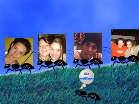 montage ns