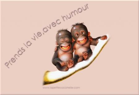 prends la vie avec humour