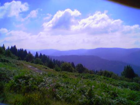 Le haut du tôt